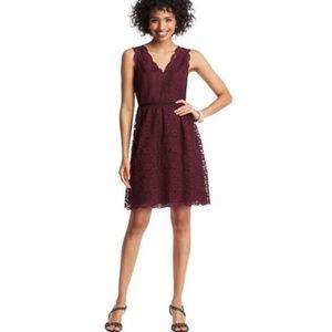 Ann Taylor Loft Maroon Lace Dress